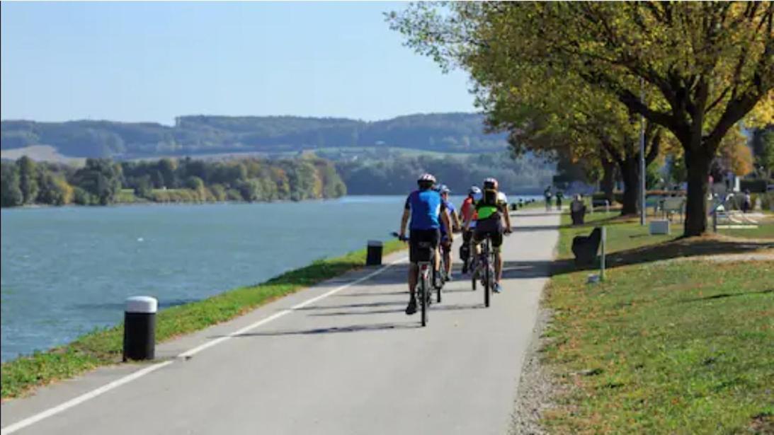 Apartment, 3375 Krummnussbaum An Der Donau Krumnussbaum 客房 照片